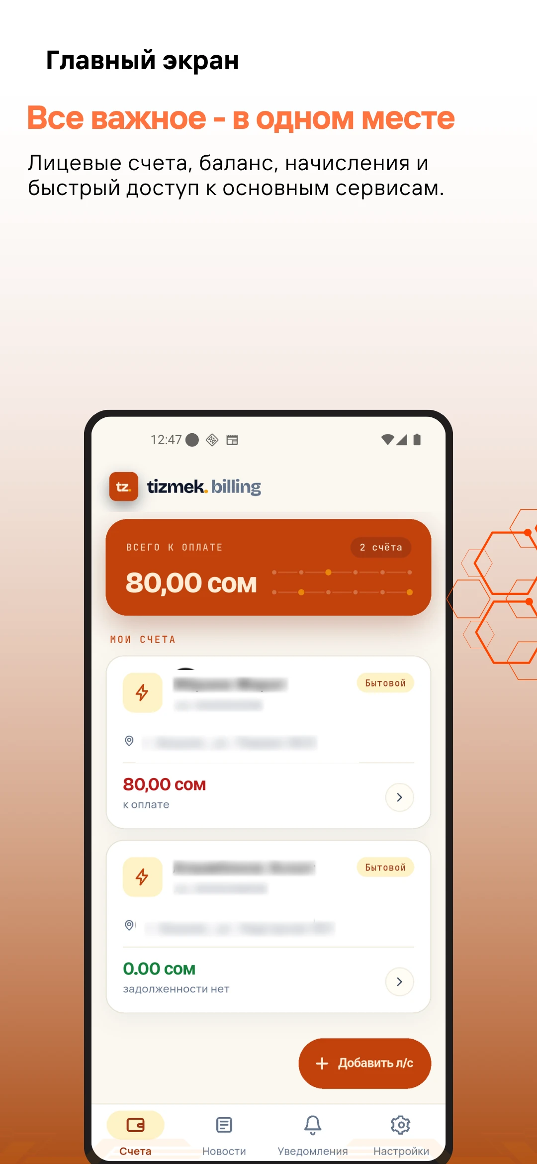 Tizmek Billing — экран 3