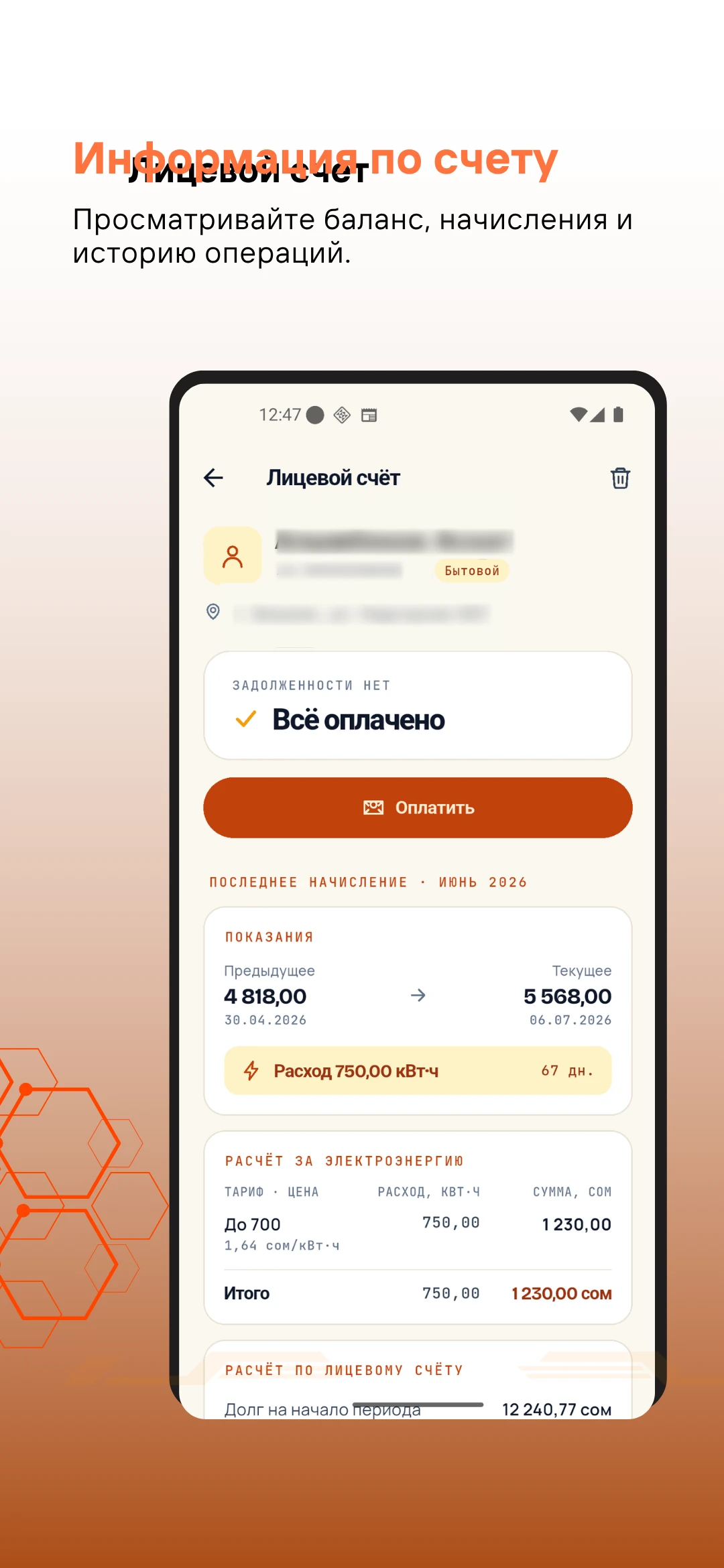 Tizmek Billing — экран 4
