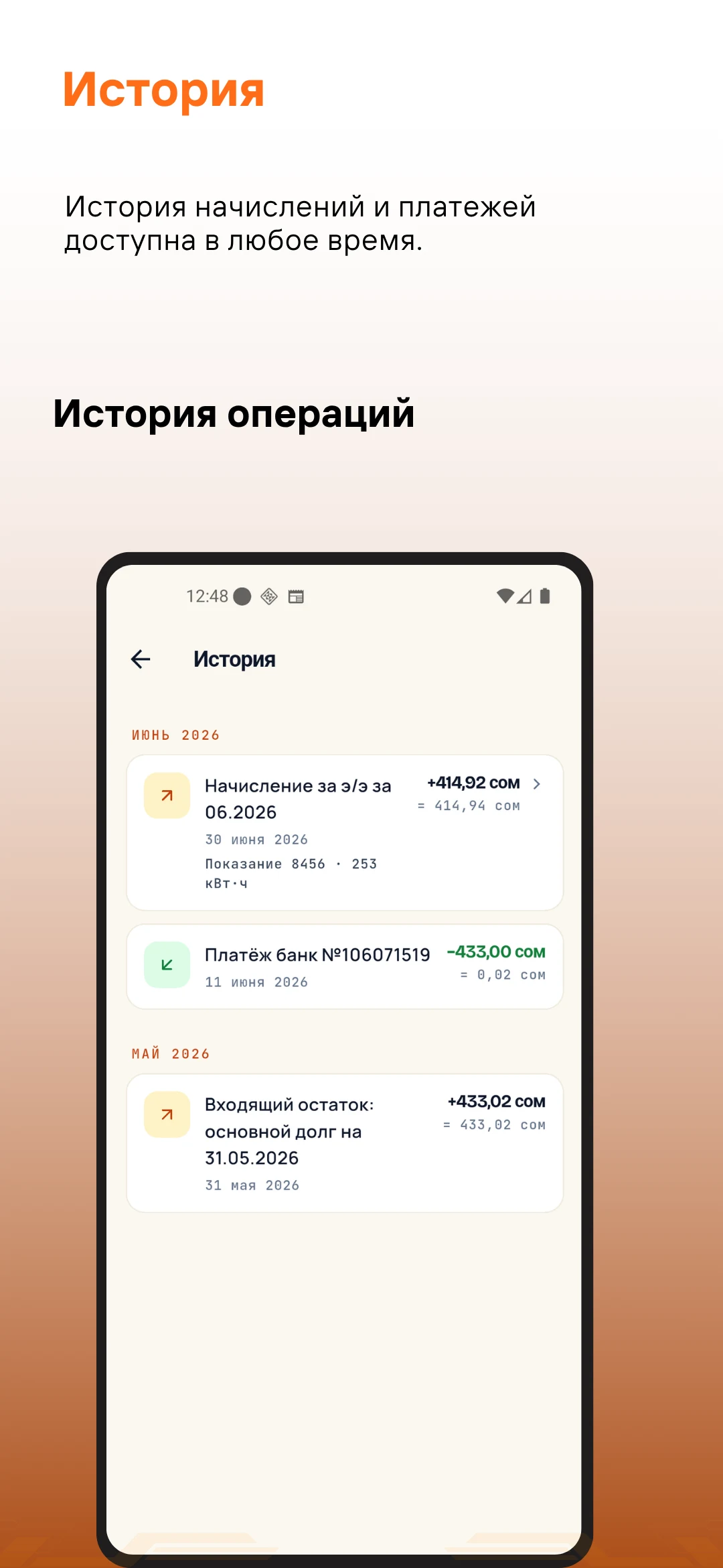 Tizmek Billing — экран 8